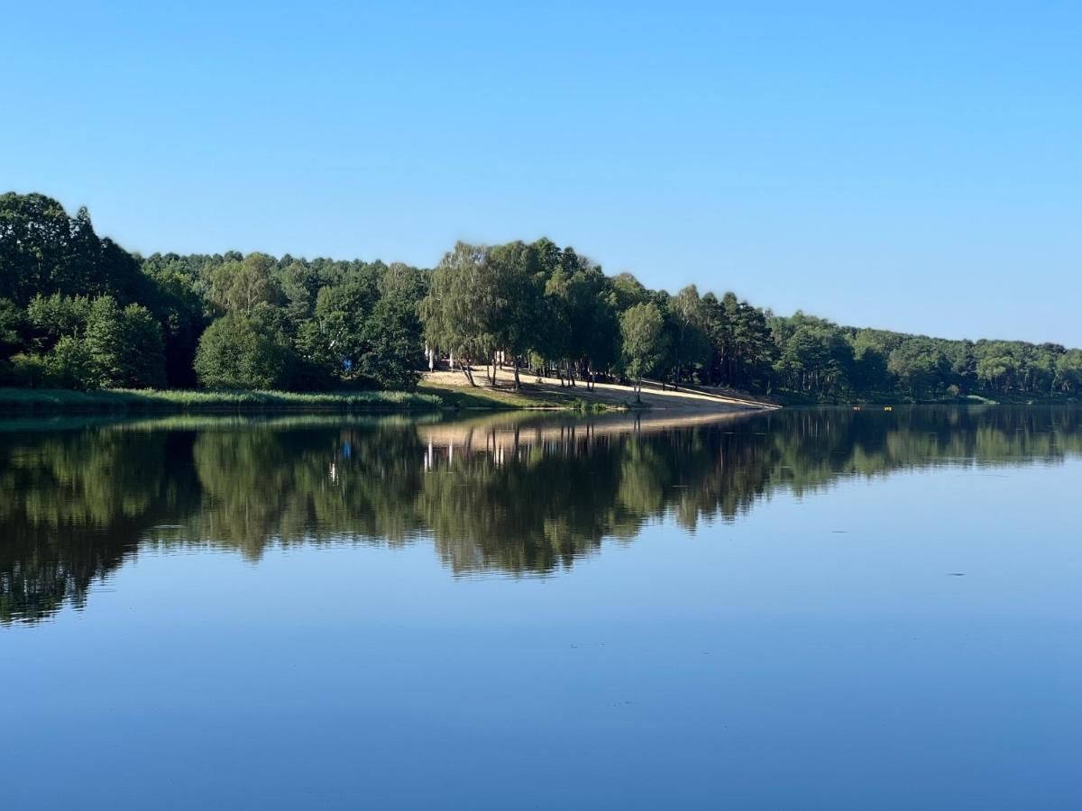 Forest Haven Sauna * Kielce